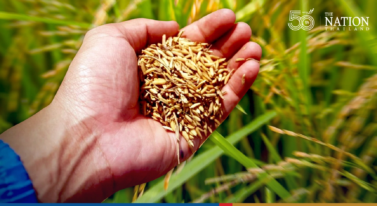 Export of Thai rice surges due to weaker baht, bigger harvests Export of Thai rice surges due to weaker baht, bigger harvests