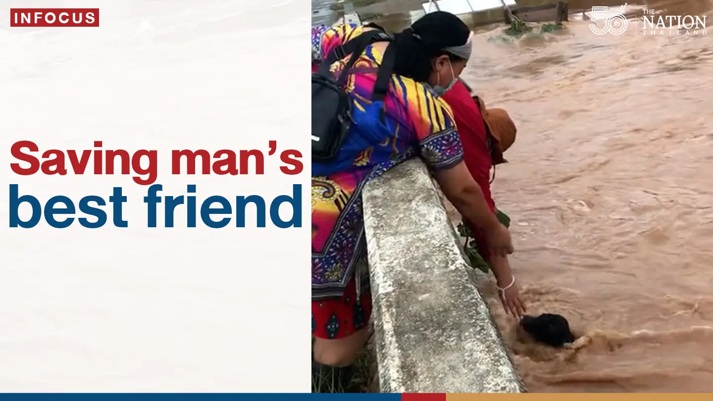 Saving man’s best friend