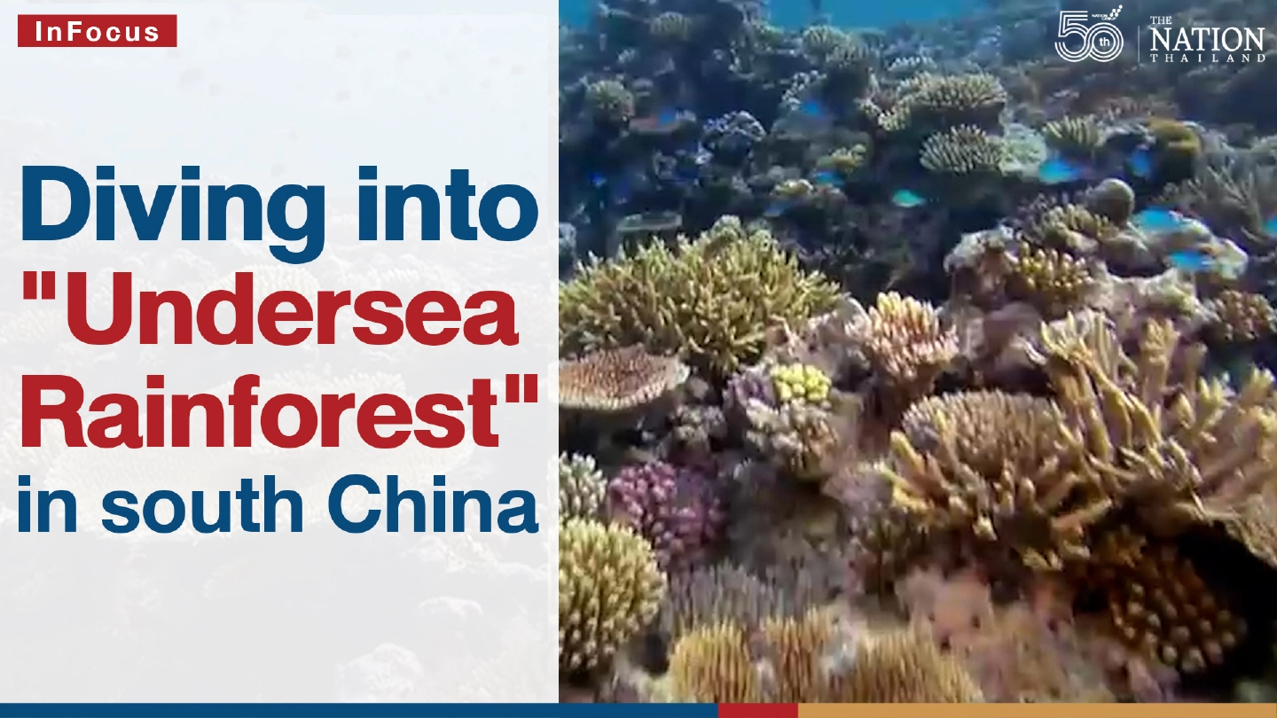 Diving into "undersea rainforest" in South China
