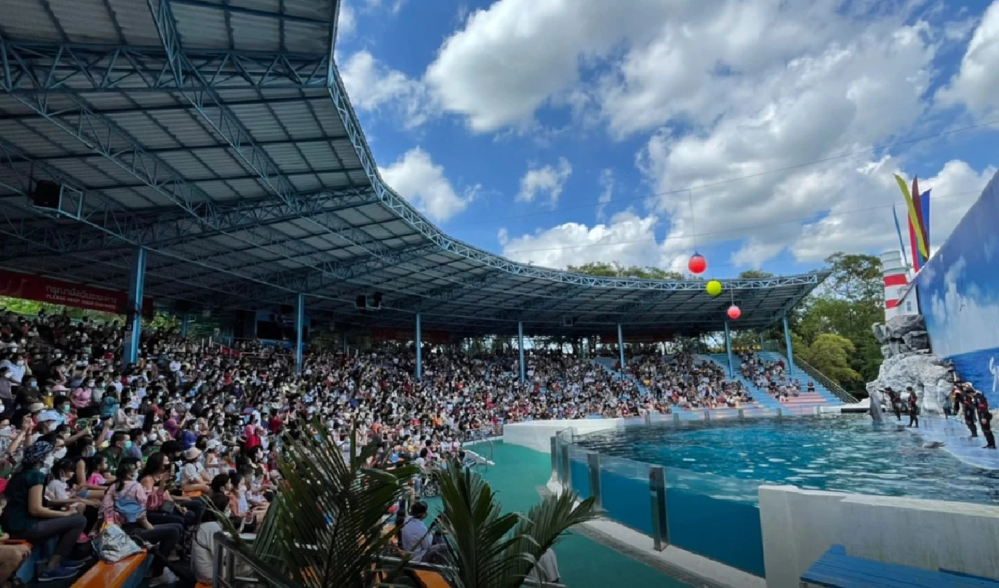 Safari World reopens under Covid-19 restrictions Safari World reopens under Covid-19 restrictions