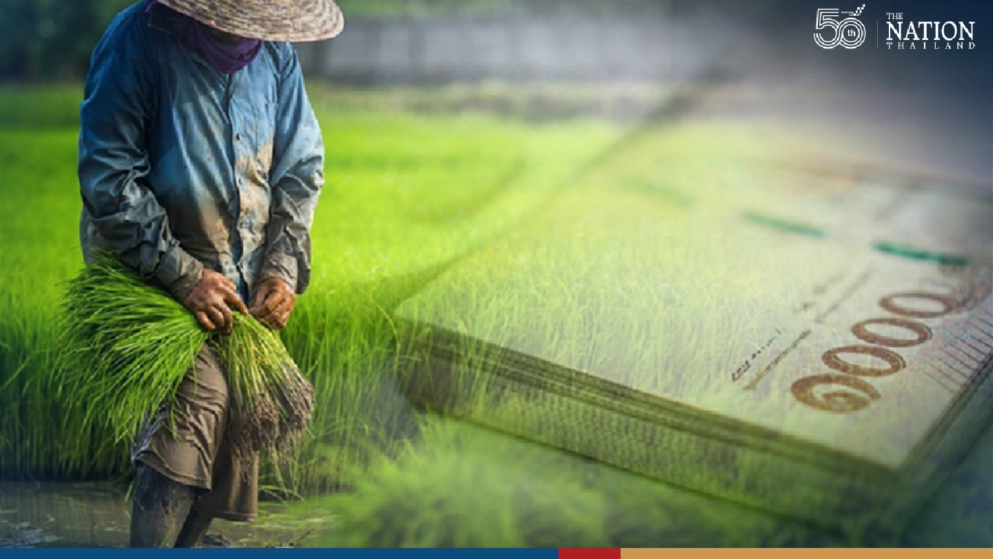 Cabinet okays THB131.6 billion of measures to help farmers