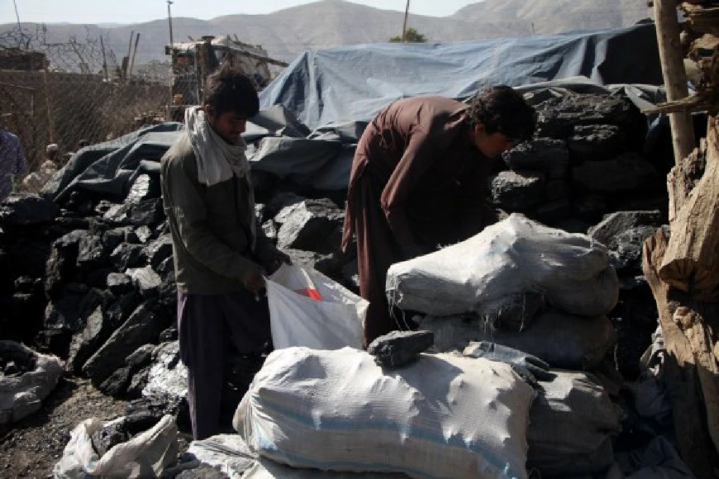 Afghans struggle to stay warm in incoming winter amid price hike of daily necessities Afghans struggle to stay warm in incoming winter amid price hike of daily necessities