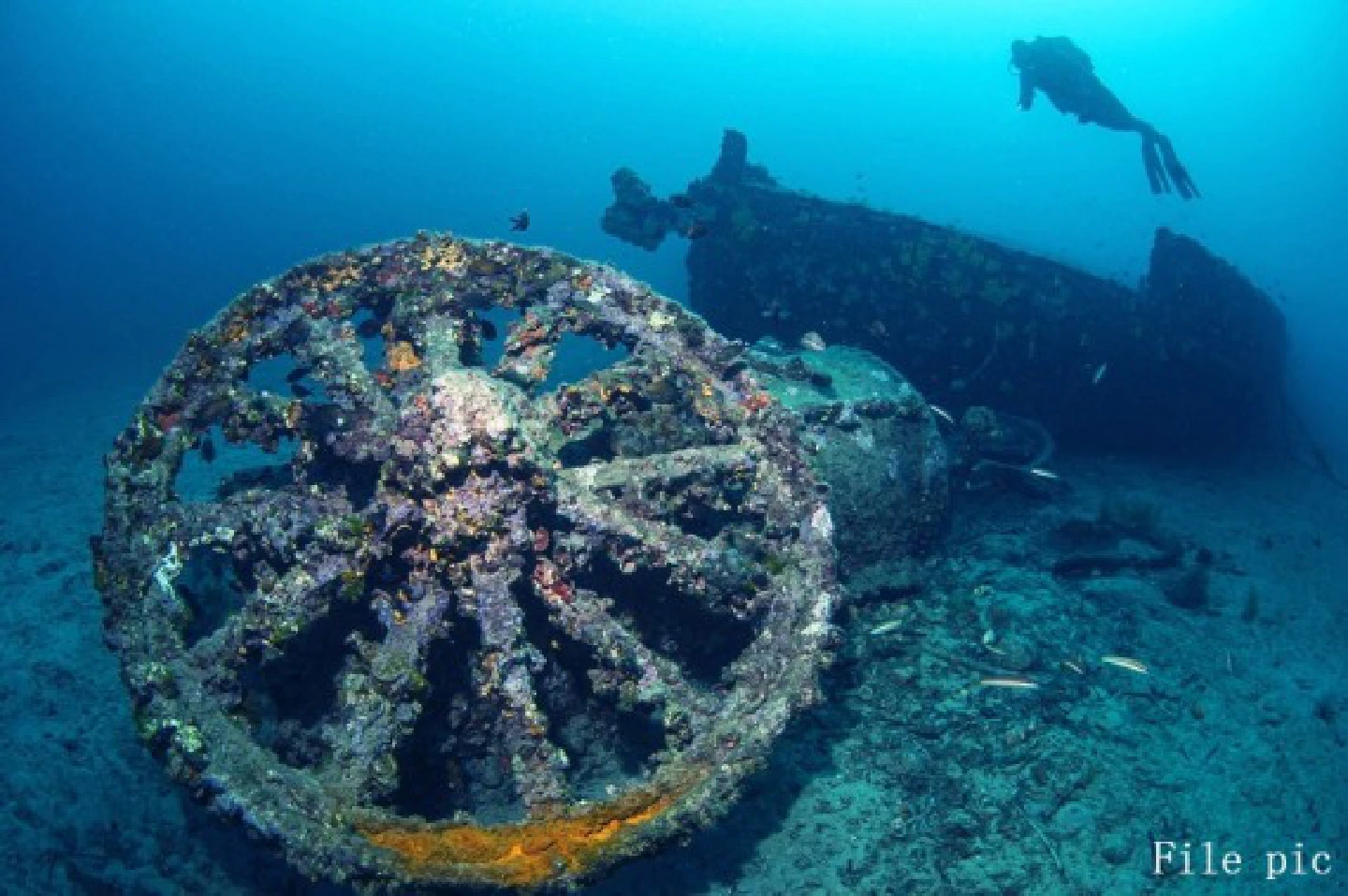 Mideast Stories: WWI shipwrecks on display off Turkeys Gallipoli Peninsula Mideast Stories: WWI shipwrecks on display off Turkeys Gallipoli Peninsula