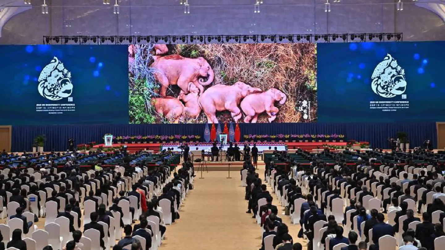 Kunming Declaration adopted at COP15 Kunming Declaration adopted at COP15