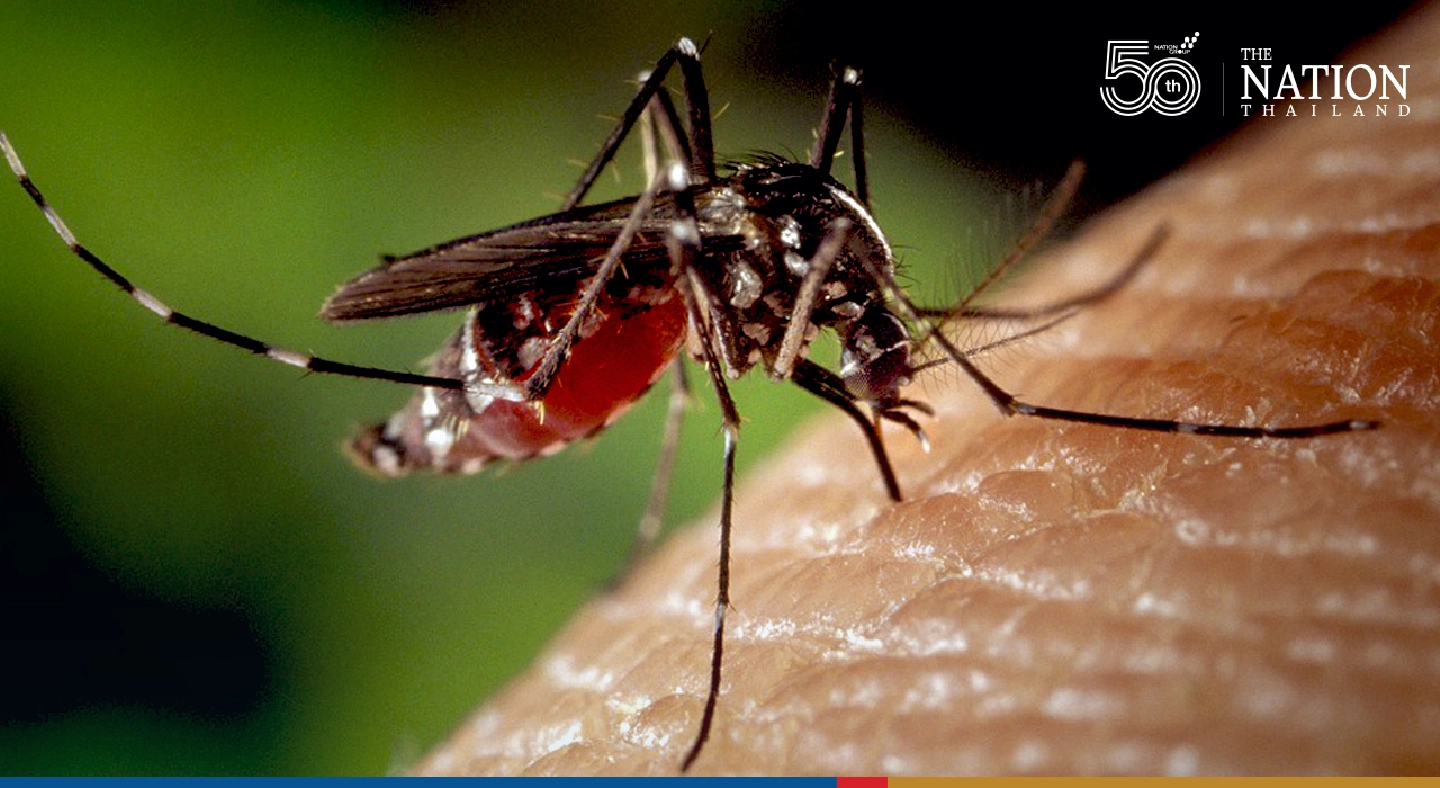 Malaria vaccine: Vital addition to toolkit for preventing malaria but no magic bullet
