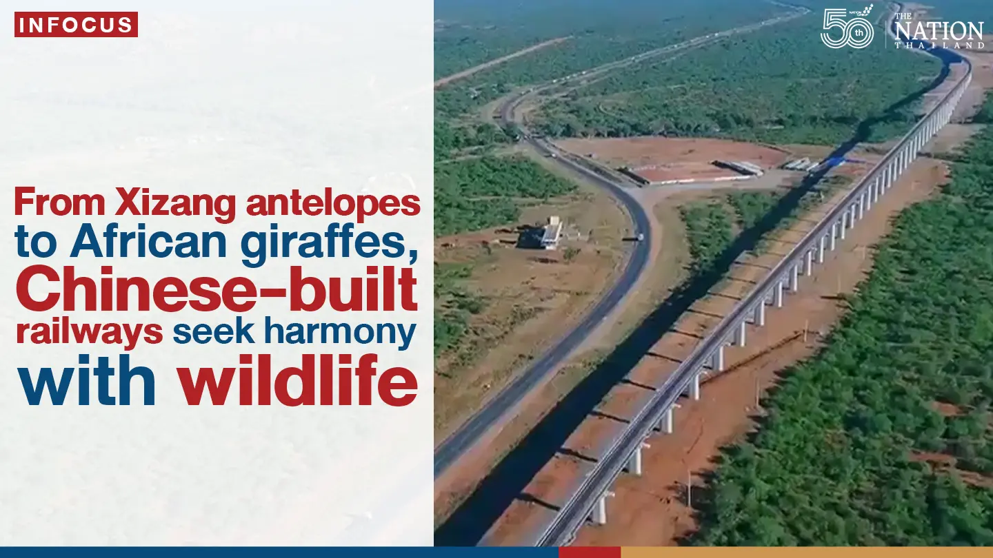 From Xizang antelopes to African giraffes,seek harmony with wildlife