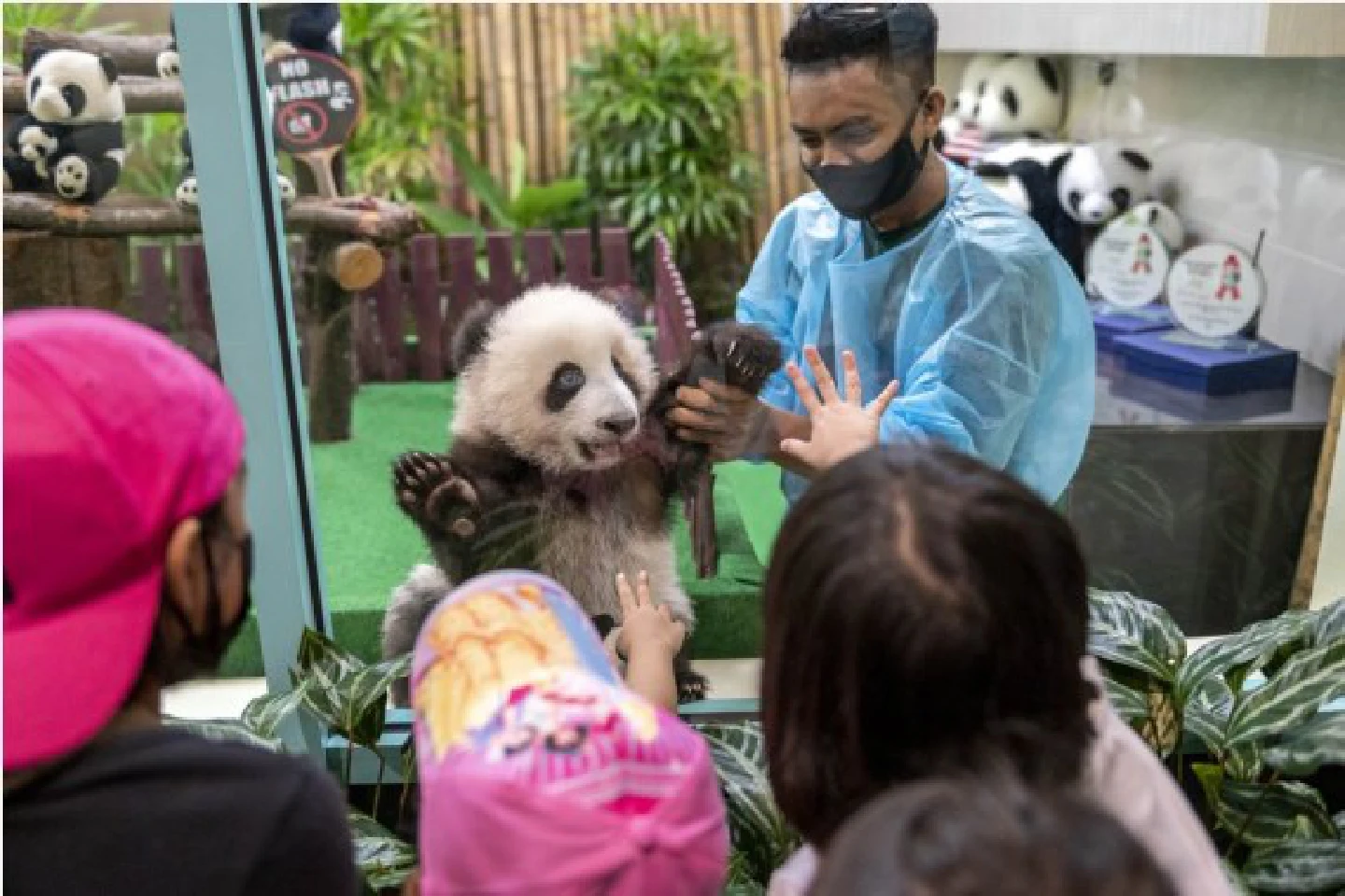 Fluffy adorkable! Malaysians flock to national zoo to see giant panda cub