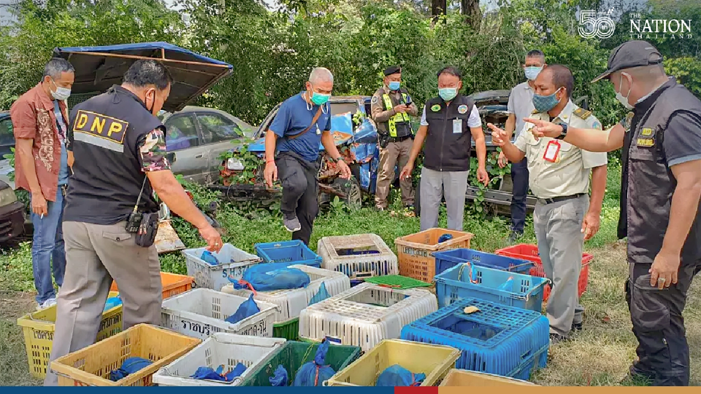44 macaques saved from the dinner table in Sa Kaeo 44 macaques saved from the dinner table in Sa Kaeo