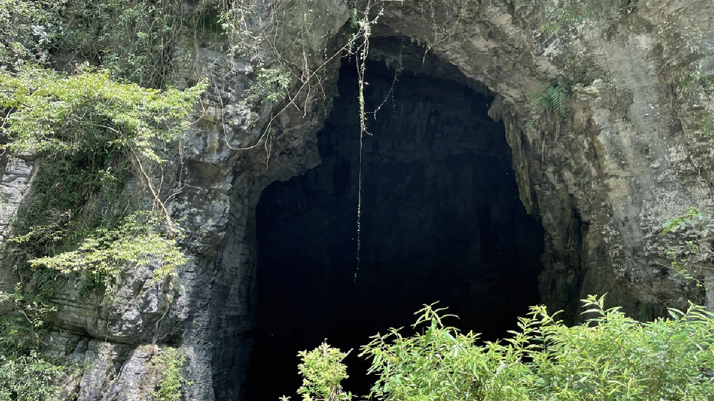 In search for covid origins, Chinas Hubei caves and wildlife farms draw new scrutiny In search for covid origins, Chinas Hubei caves and wildlife farms draw new scrutiny