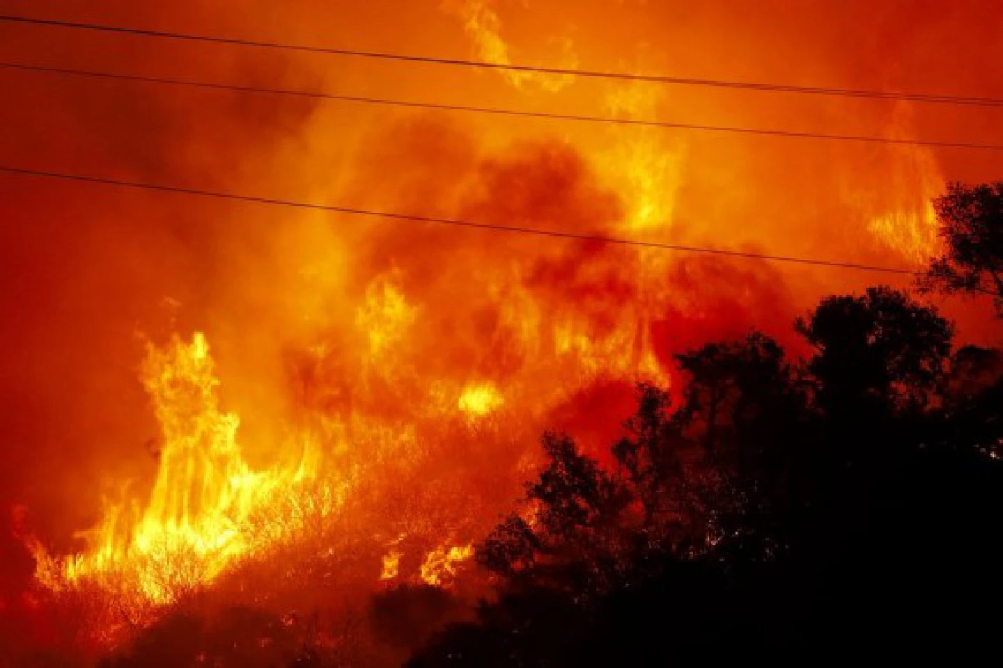 Wildfire in U.S. produces widespread ecological damage to river system: survey Wildfire in U.S. produces widespread ecological damage to river system: survey