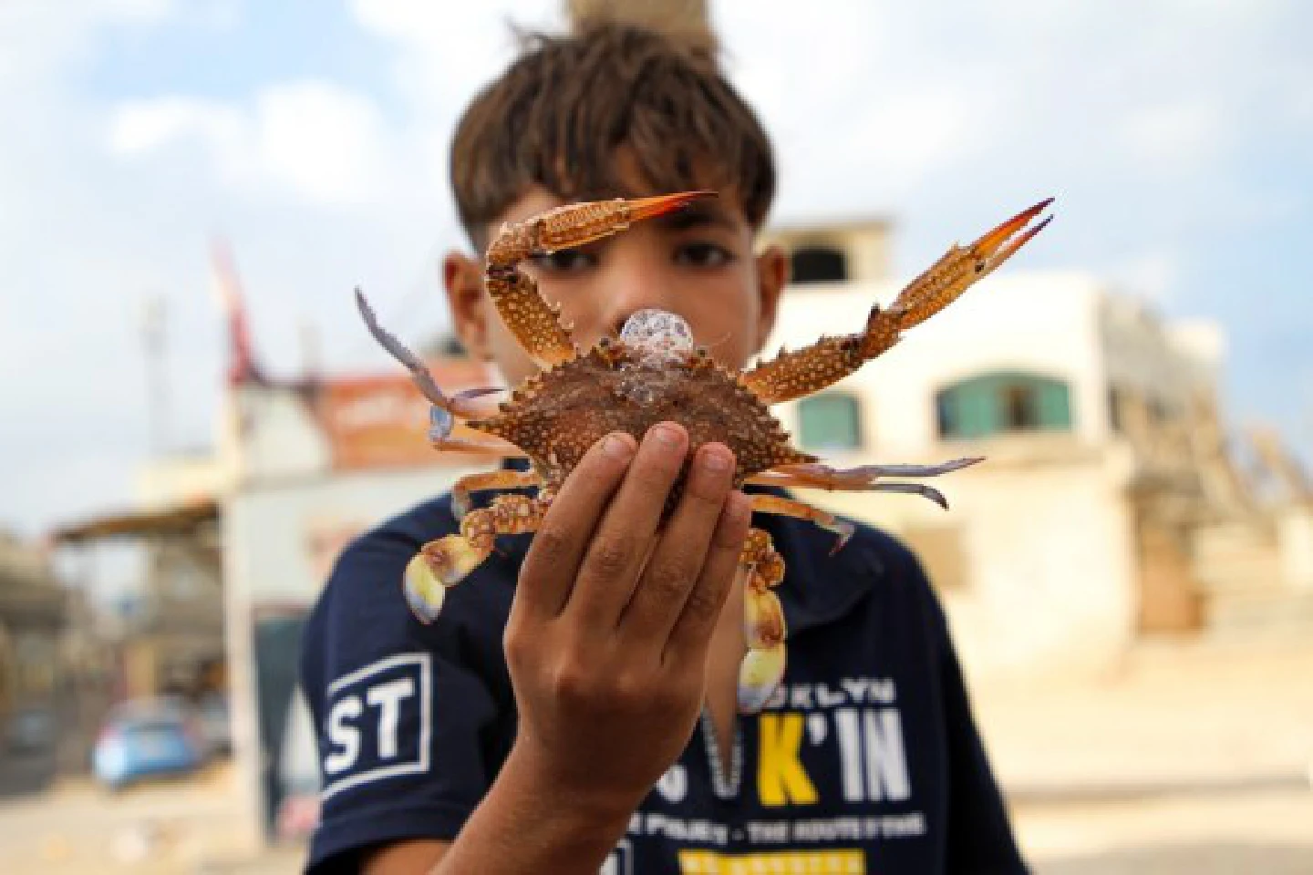 Crab fishing season offers temporary jobs to Gazans