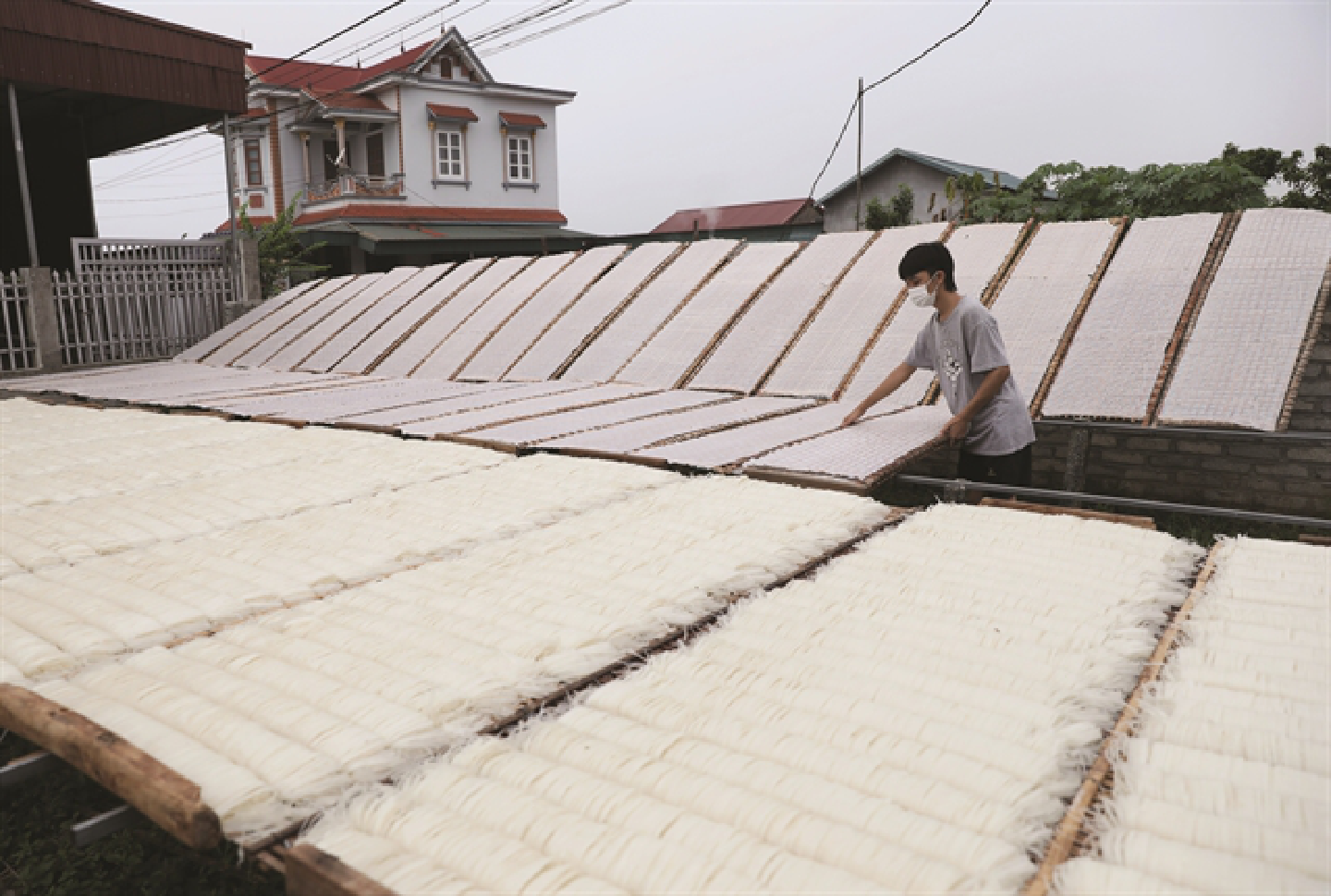 Chũ noodles, Vietnamese specialty goes global