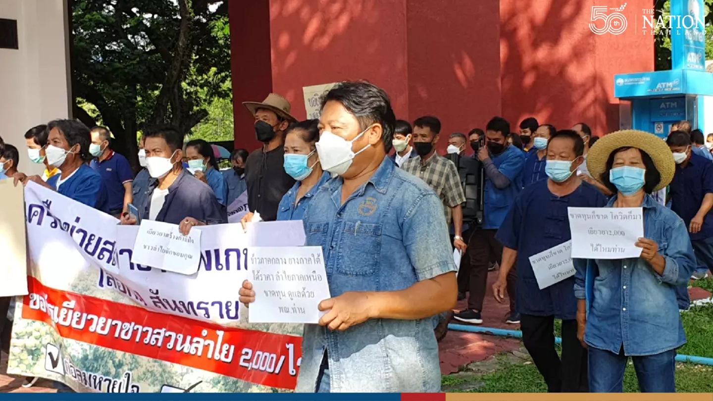 Soured by loss in earnings, longan farmers demand compensation Soured by loss in earnings, longan farmers demand compensation