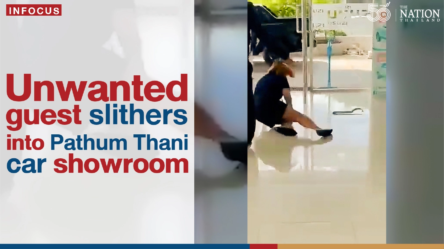 Unwanted guest slithers into Pathum Thani car showroom