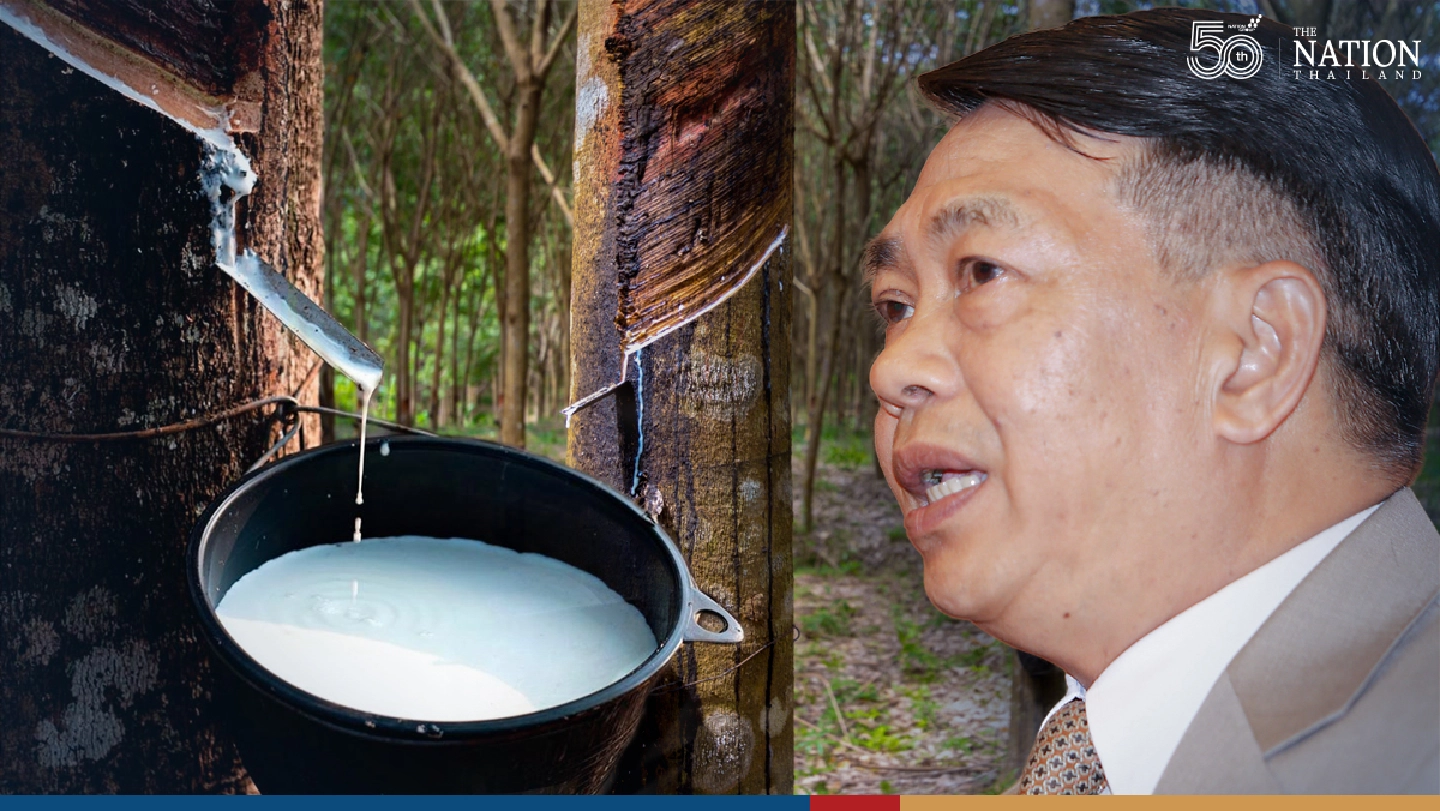 Ministry comes up with new strategy to lift Thai rubber sector