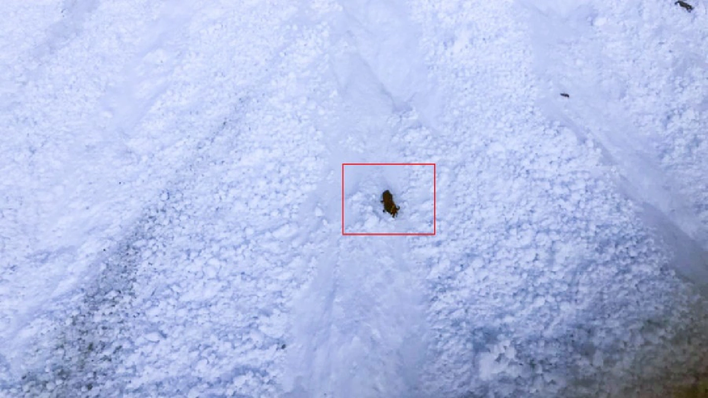Three French climbers reported missing in Everest region Three French climbers reported missing in Everest region