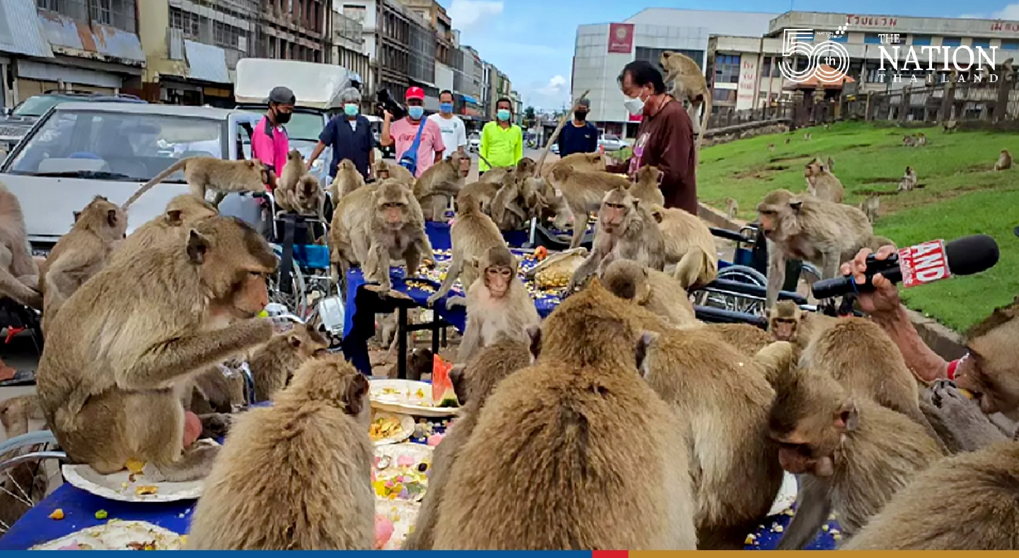 Lopburi gets ready to throw a huge party for its monkey population Lopburi gets ready to throw a huge party for its monkey population