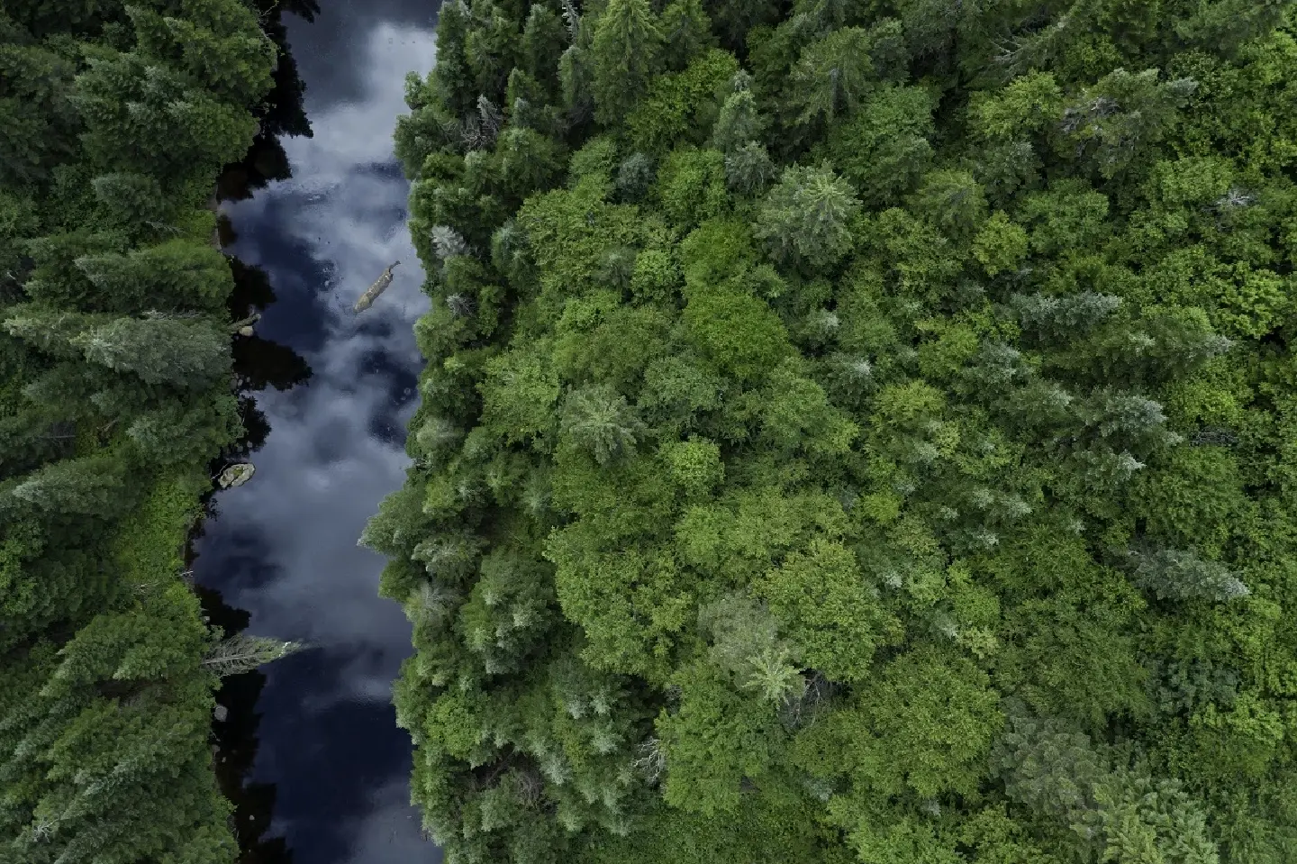 KPMG identifies Thailand as ‘country to watch’ in achieving net zero while Norway tops the list for most prepared nation