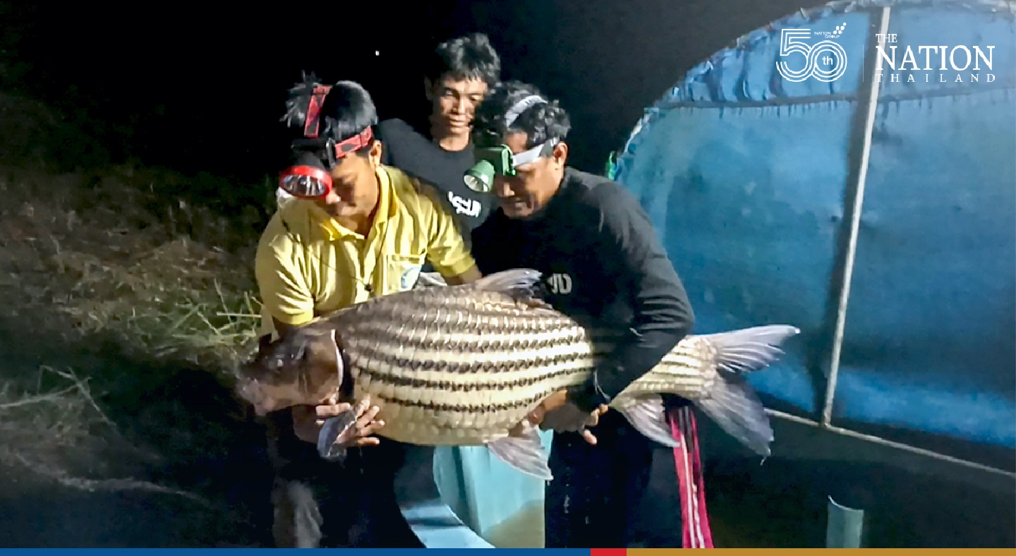 Mukdahan locals snag big rare carp