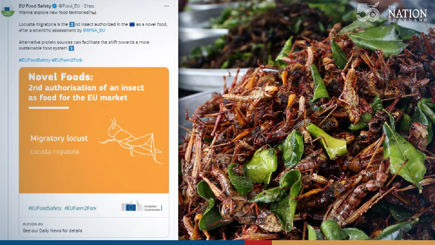 Grasshopper fried rice anyone?