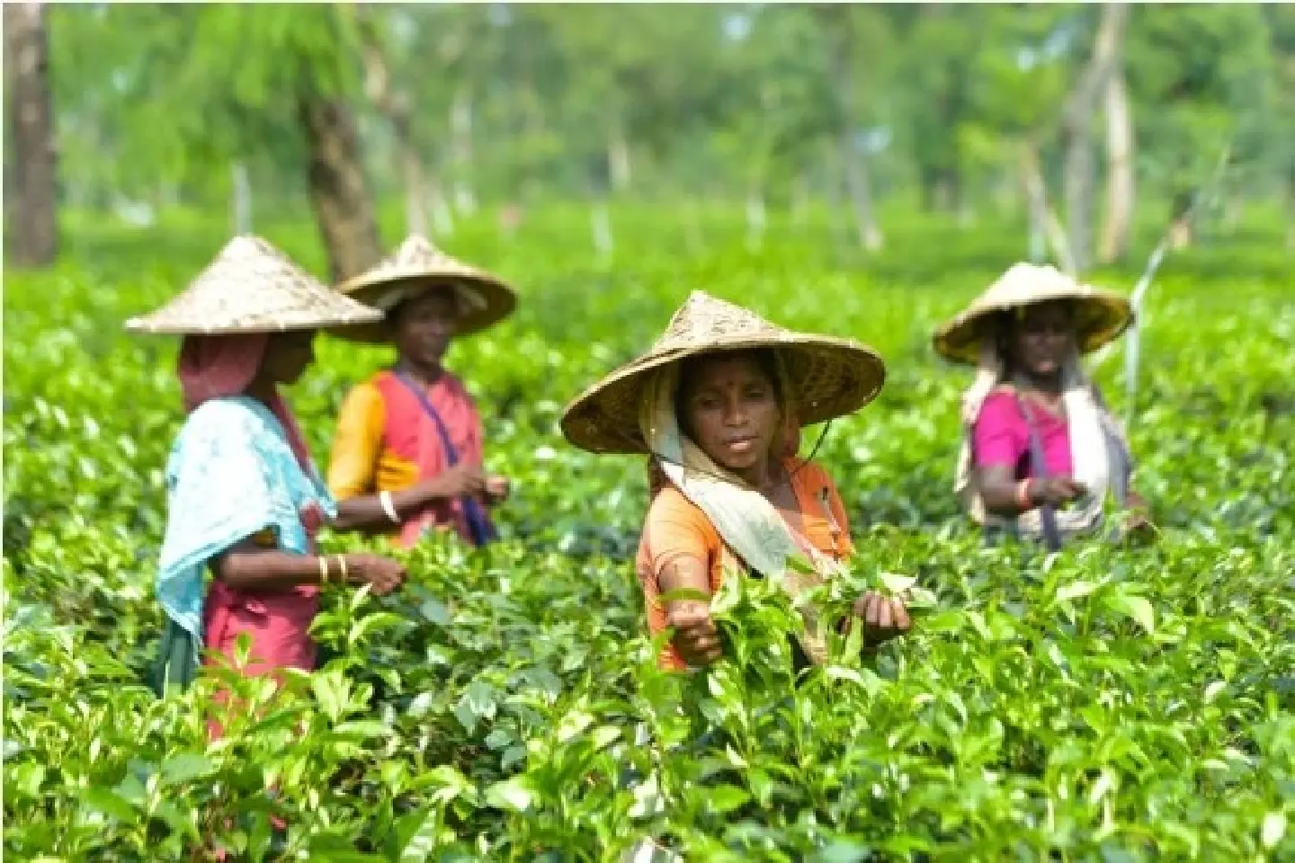 Bangladesh, Laos, Nepal graduate from least developed country category Bangladesh, Laos, Nepal graduate from least developed country category