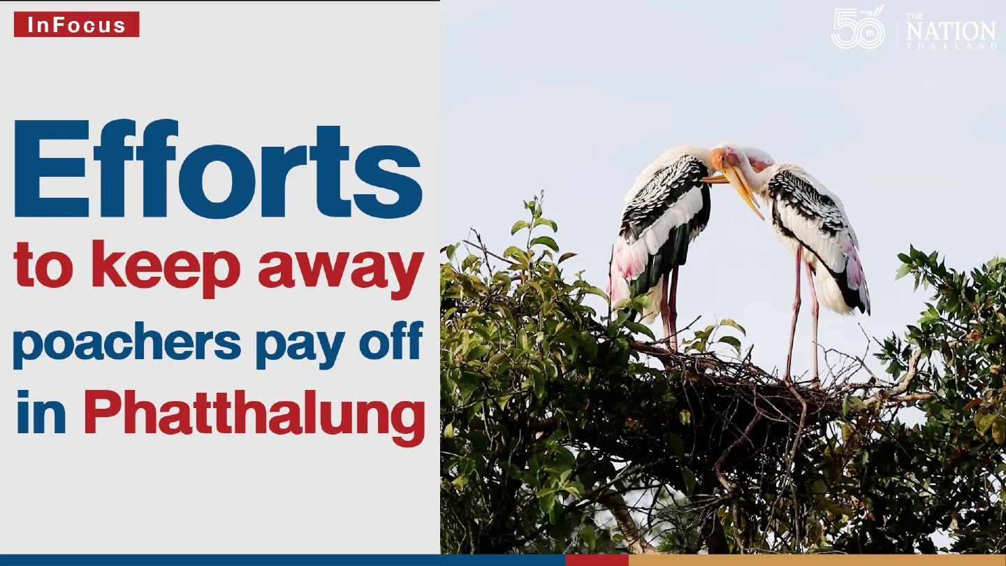Efforts to keep away poachers pay off in Phatthalung