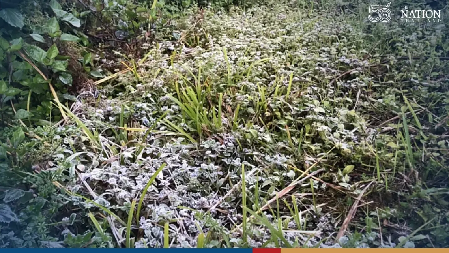 Doi Inthanon blanketed with frost as temperature drops to 4C