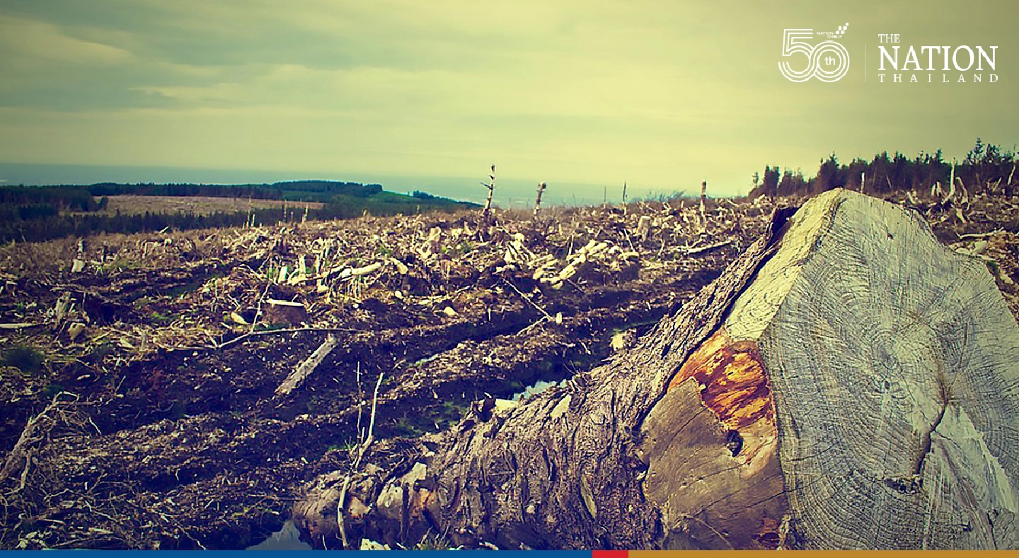 More than 100 world leaders pledge to halt deforestation by 2030