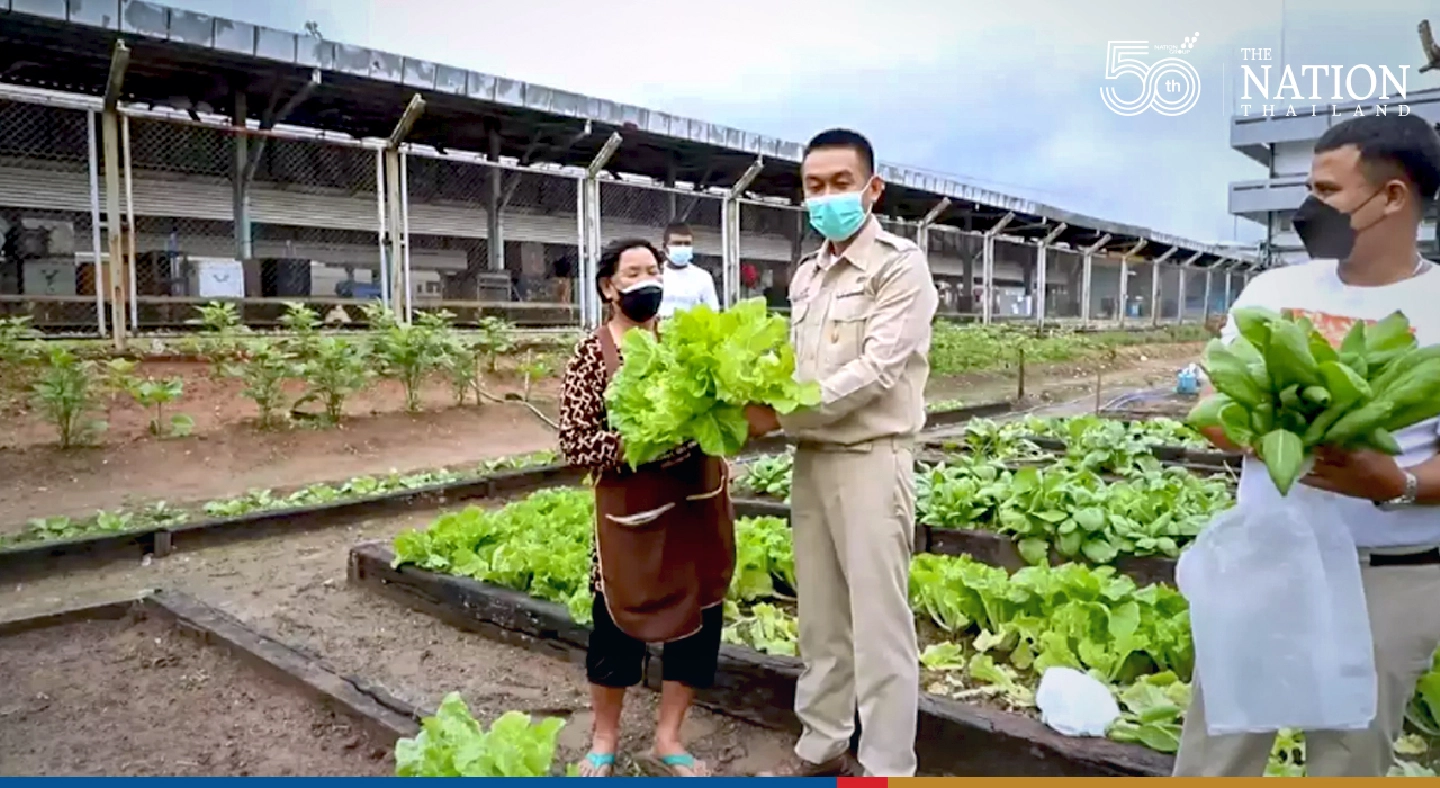 Hat Yai Railway Station project takes seed to help people impacted by Covid-19