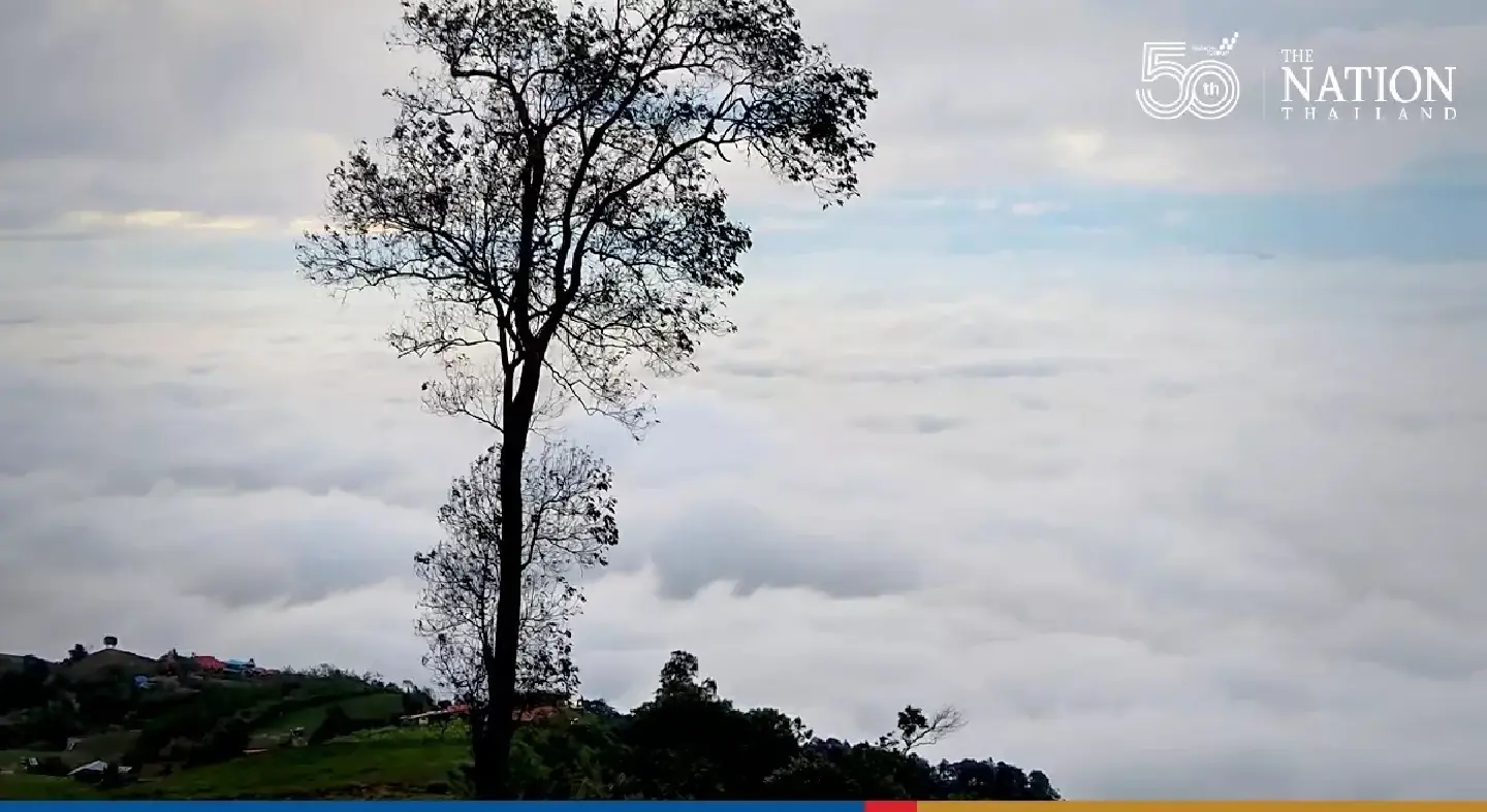 Cool weather and morning fog in upper Thailand, less rains in the South