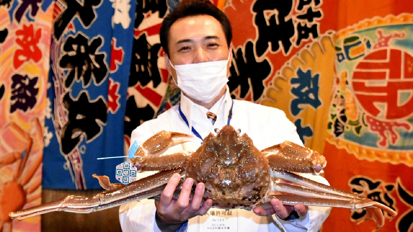 Snow crab fetches 5 million yen in auction
