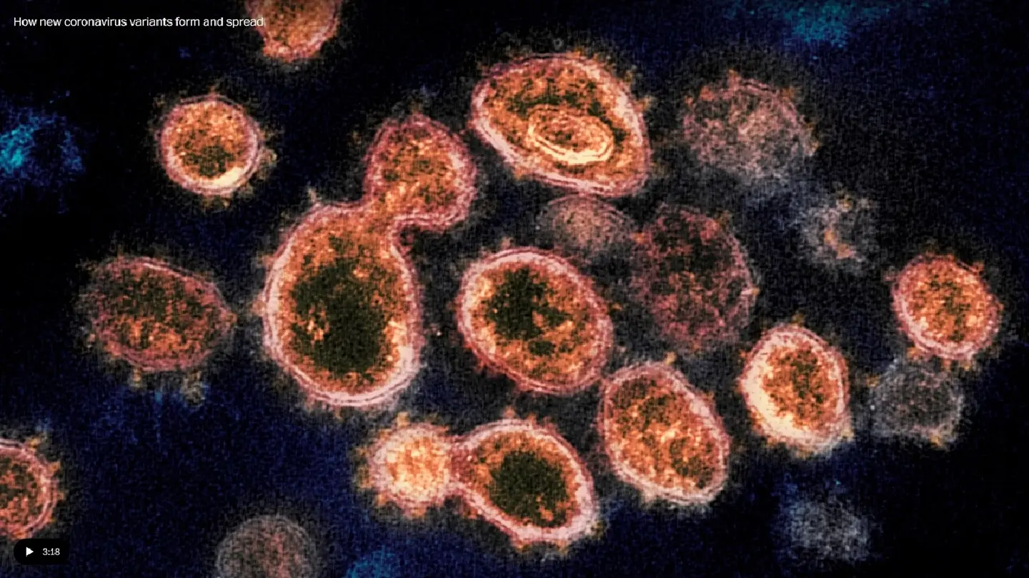 South Africa, which found the omicron variant first, sequences less than one percent of coronavirus samples
