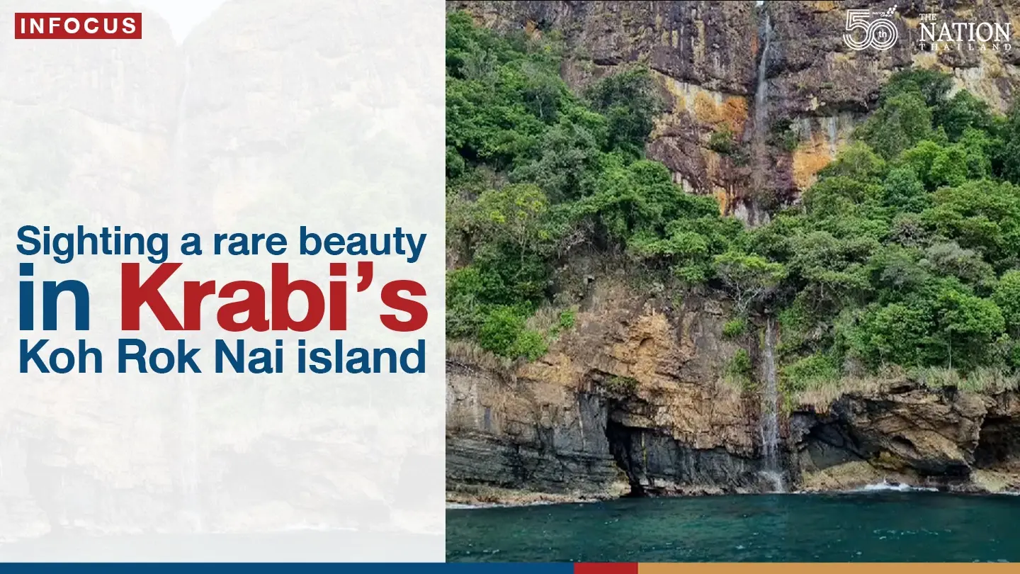 Sighting a rare beauty in Krabi’s Koh Rok Nai island