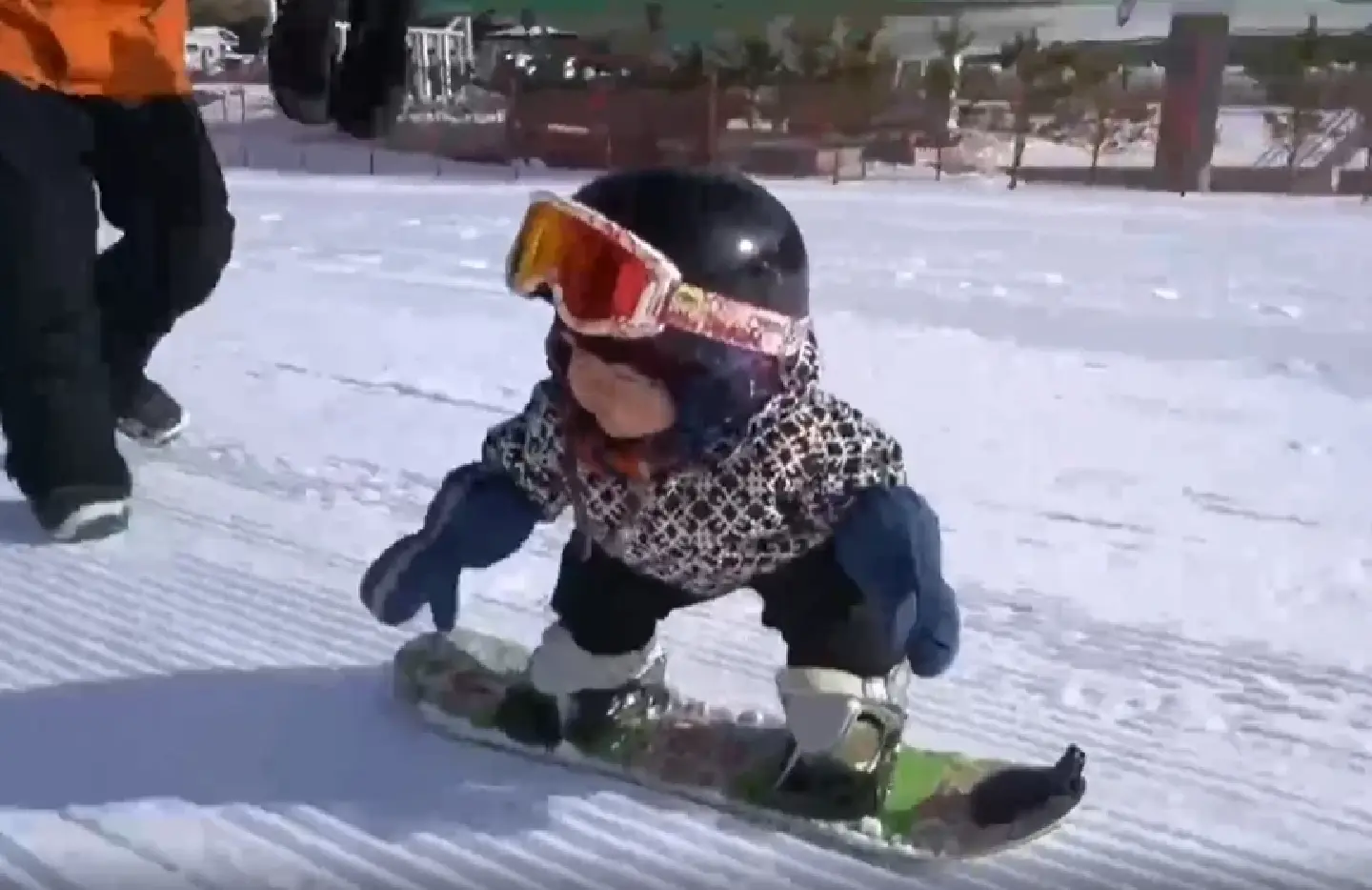11-month-old baby snowboarder sweeps internet in China 11-month-old baby snowboarder sweeps internet in China