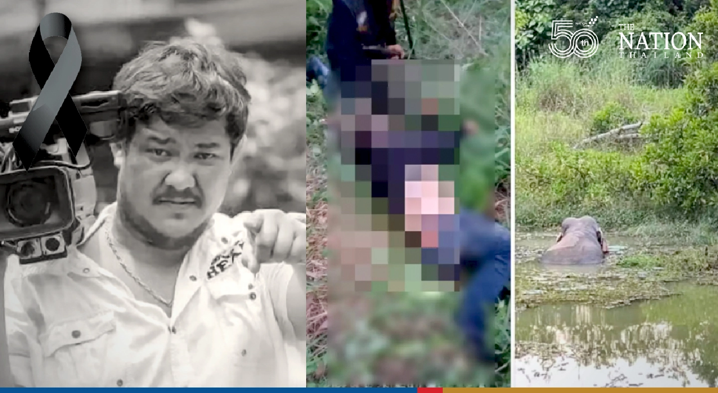 Injured wild elephant stomps KomChadLuek reporter to death in Chanthaburi Injured wild elephant stomps KomChadLuek reporter to death in Chanthaburi