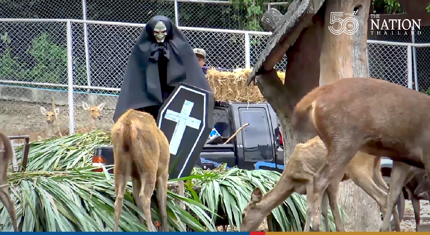 Songkhla Zoo plays devil’s advocate on Halloween Songkhla Zoo plays devil’s advocate on Halloween