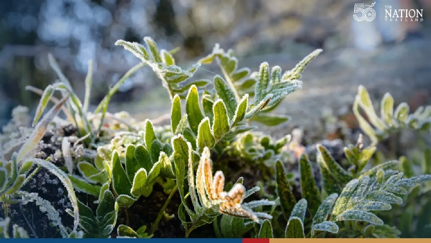 Cold to cool weather in upper Thailand, less rains in the South