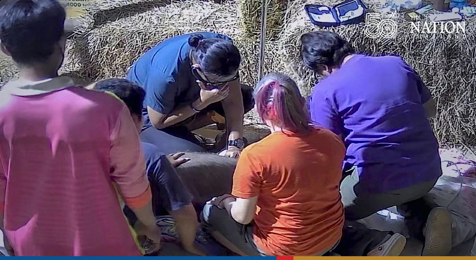 Rescued baby elephant Fah Sai dies from acute diarrhoea