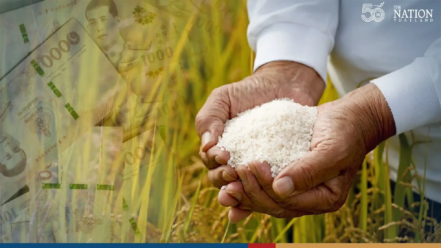 Yingluck’s rice-pledging scheme racked up staggering losses, massive debts, tonnes of rotting rice: Anucha Yingluck’s rice-pledging scheme racked up staggering losses, massive debts, tonnes of rotting rice: Anucha
