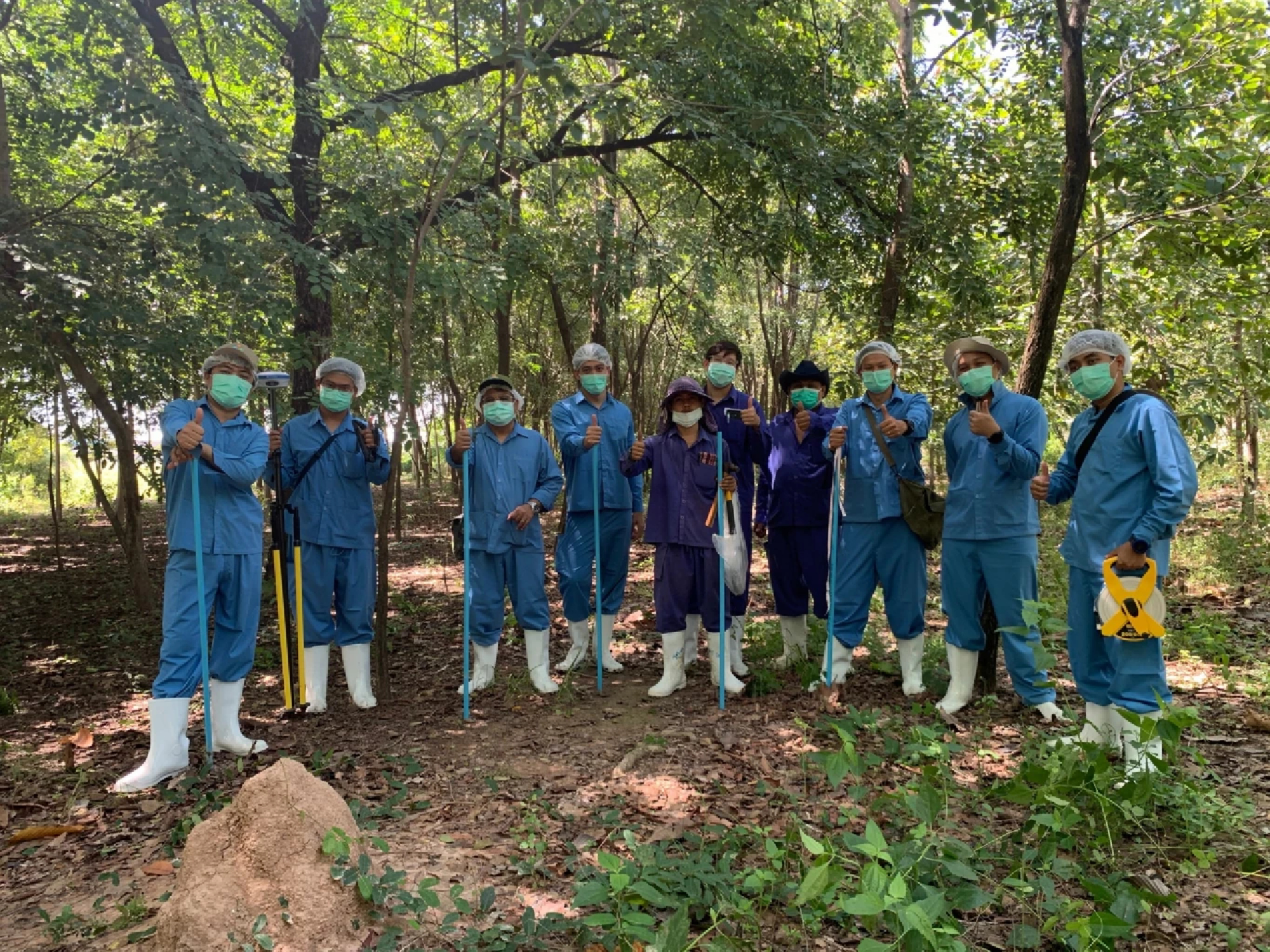 CP Foods forestation project received recognition from Low Emission Support Scheme  