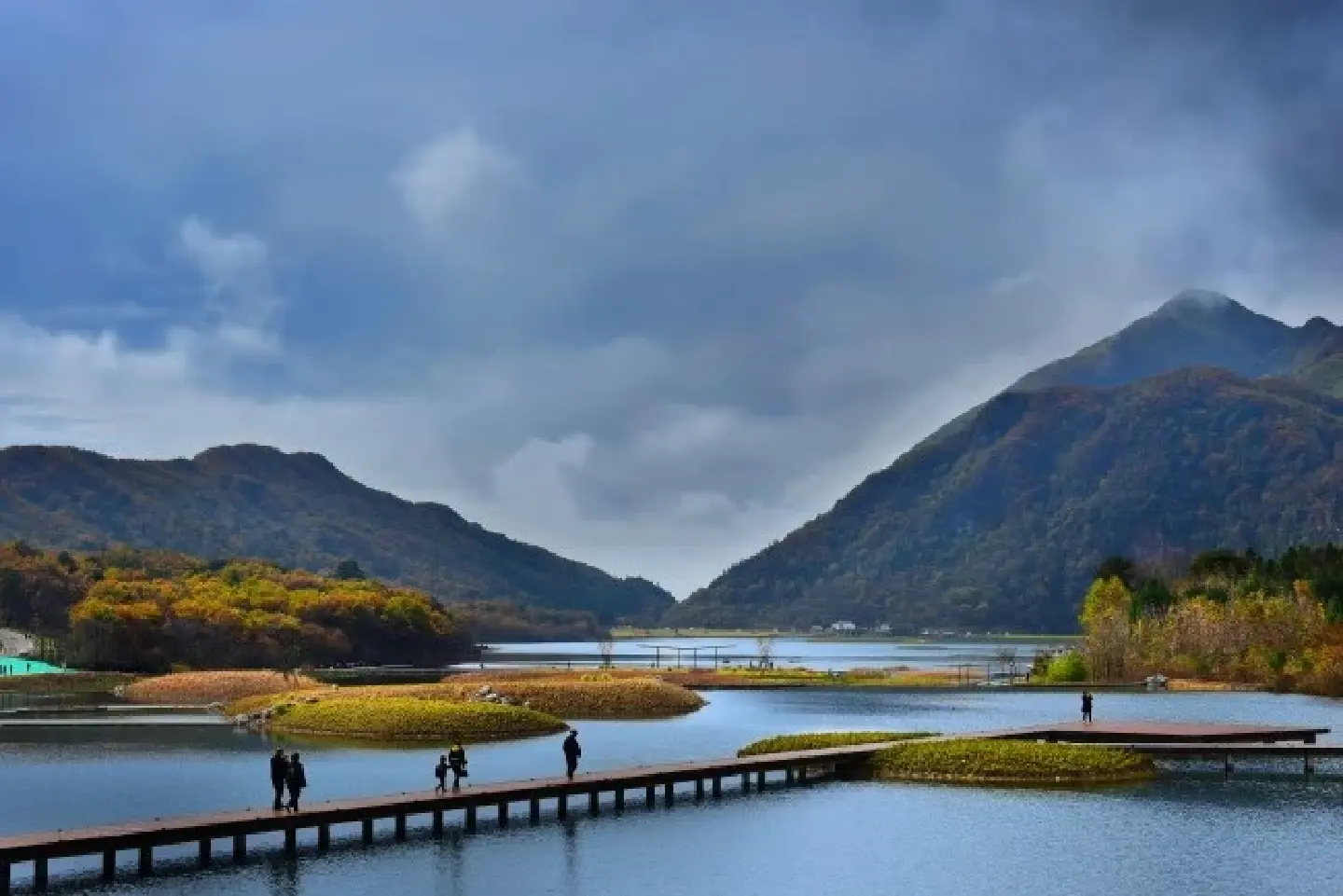 China adopts new law on wetlands protection China adopts new law on wetlands protection