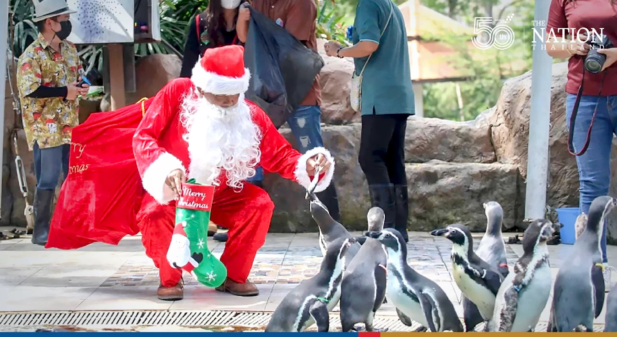 Santa comes a-knockin’ at Chonburi’s Khao Kheow Open Zoo