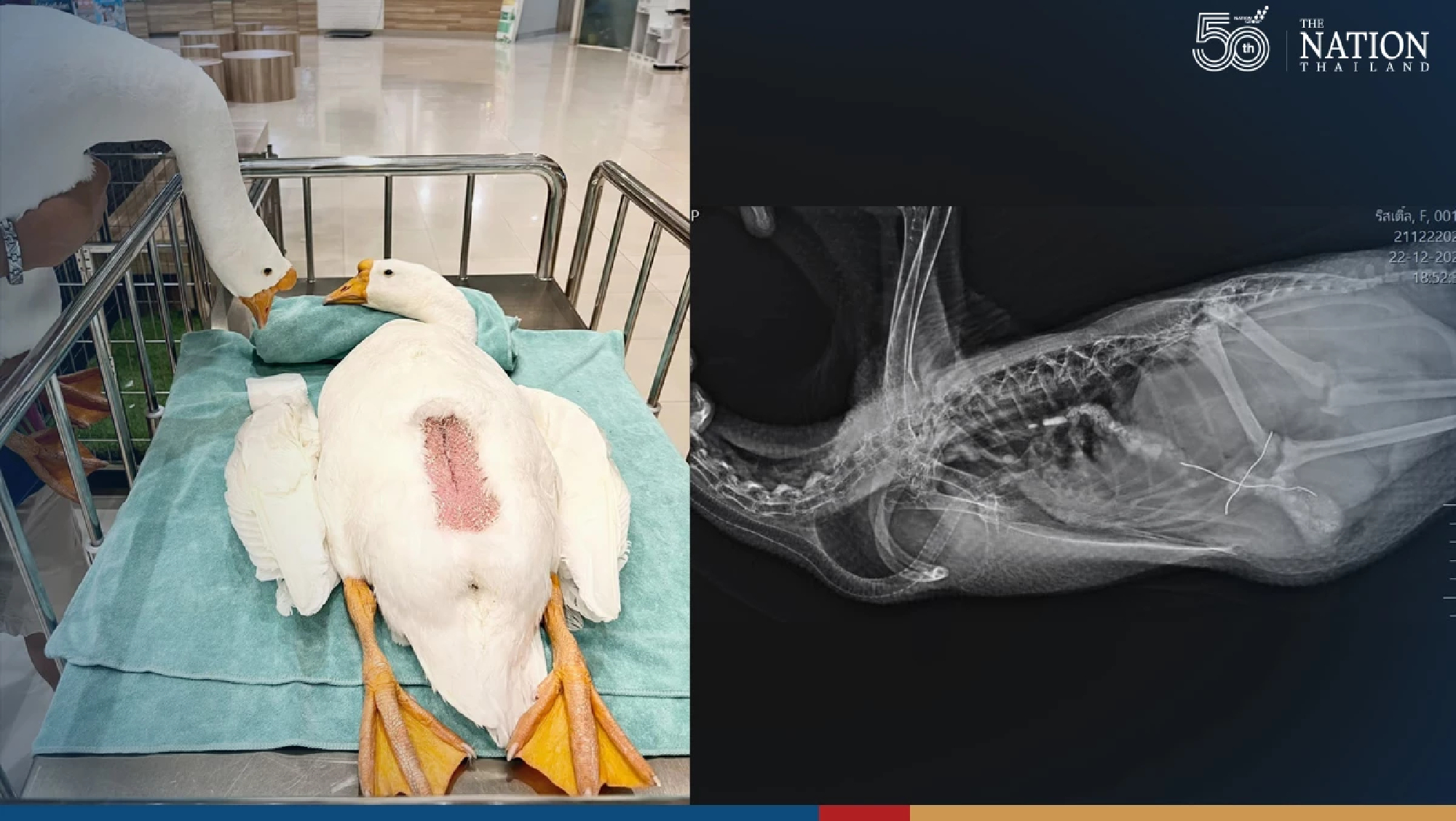 Once a father, always a father