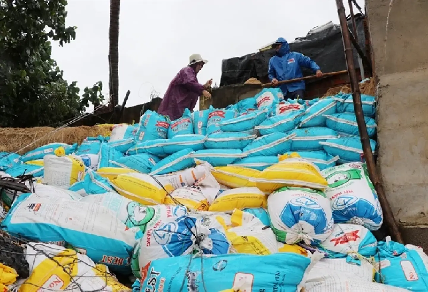 [Vietnam] Provinces ready to cope with Rai typhoon