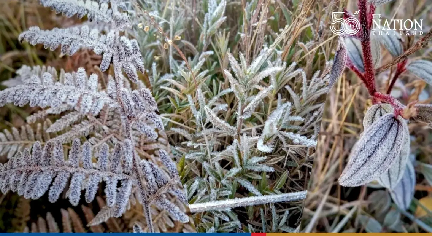 Loeis Phu Kradueng wakes up to frosty mornings