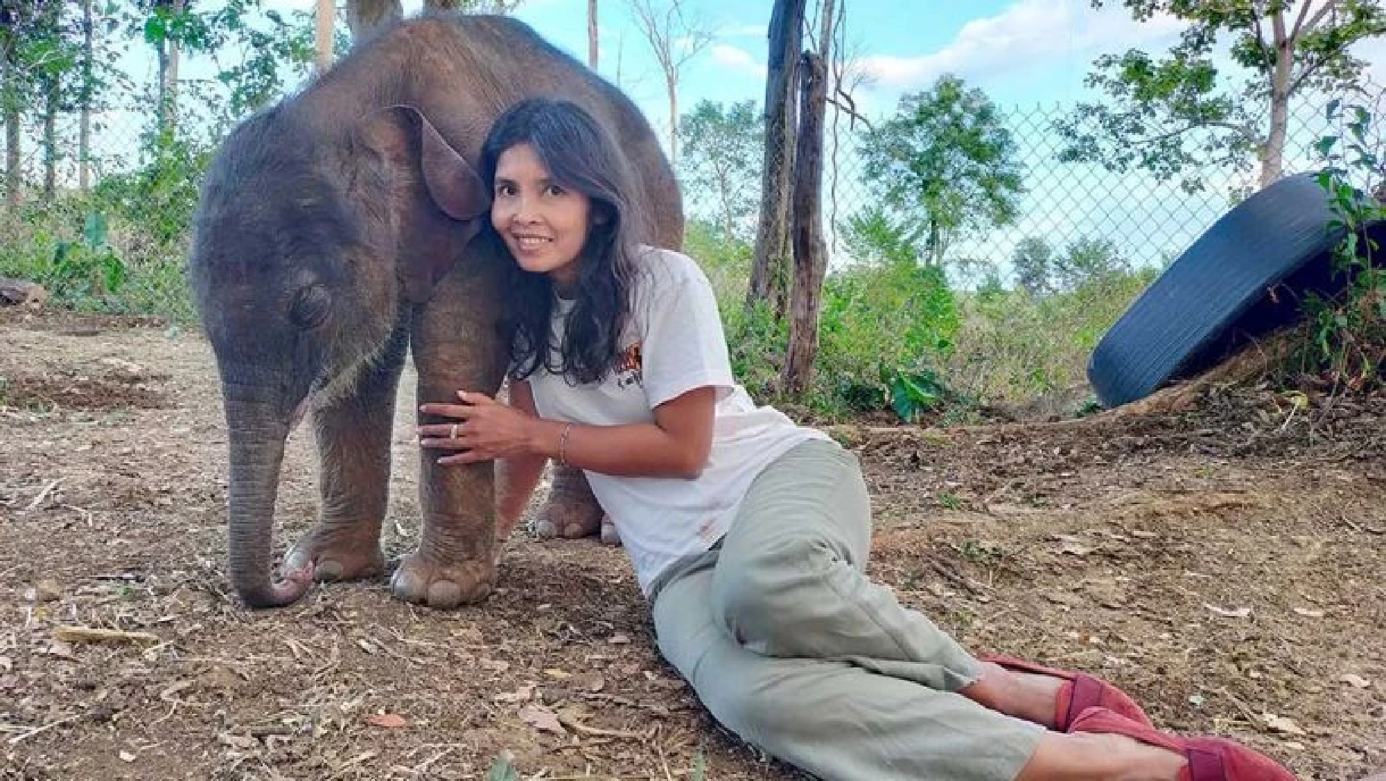 Newborn elephant in Ratanakkiri brings Christmas joy to conservationists