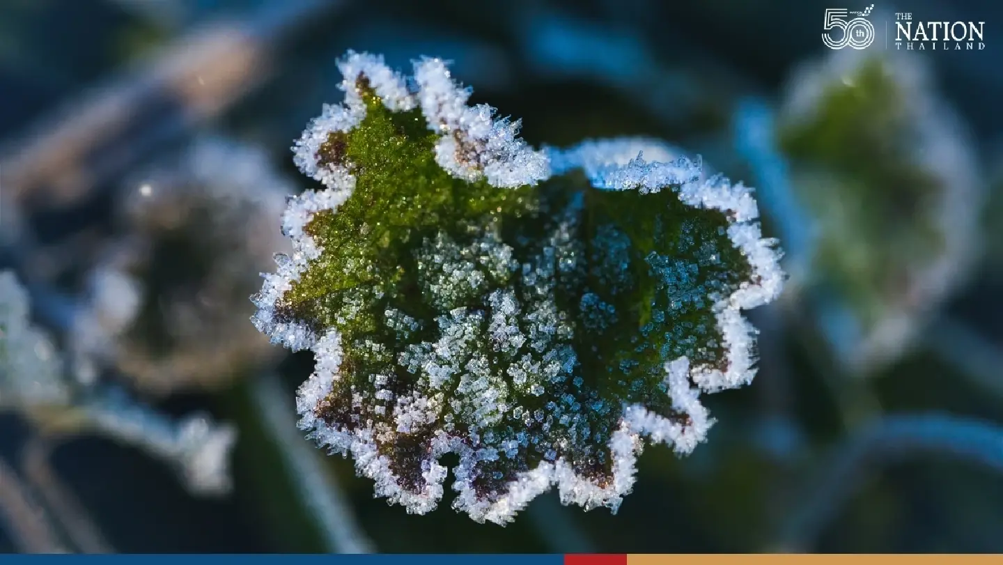 Cold to cool weather in upper Thailand, isolated heavy rains in the South Cold to cool weather in upper Thailand, isolated heavy rains in the South