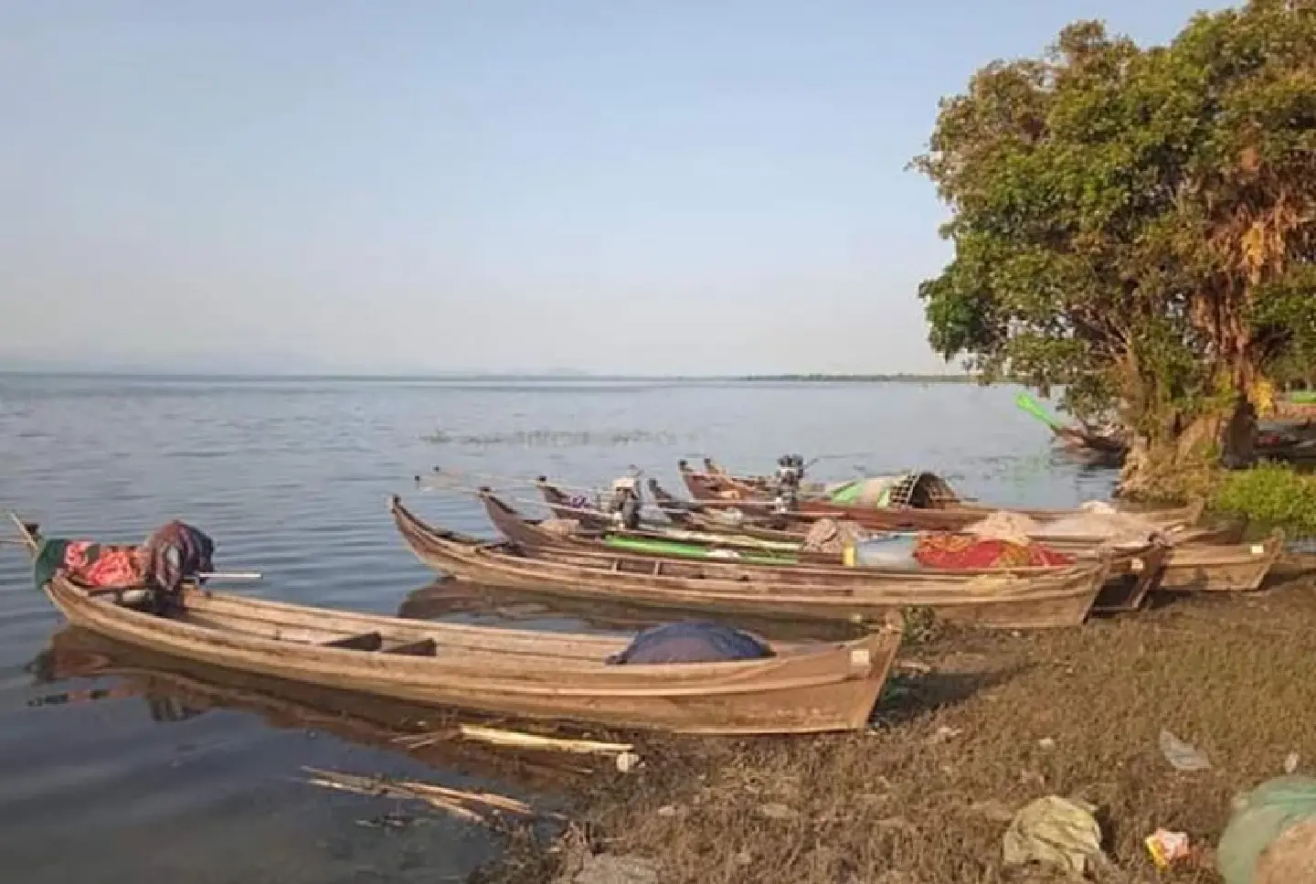 [Myanmar] Water quality changes in Indawgyi Lake, some fish species found dead