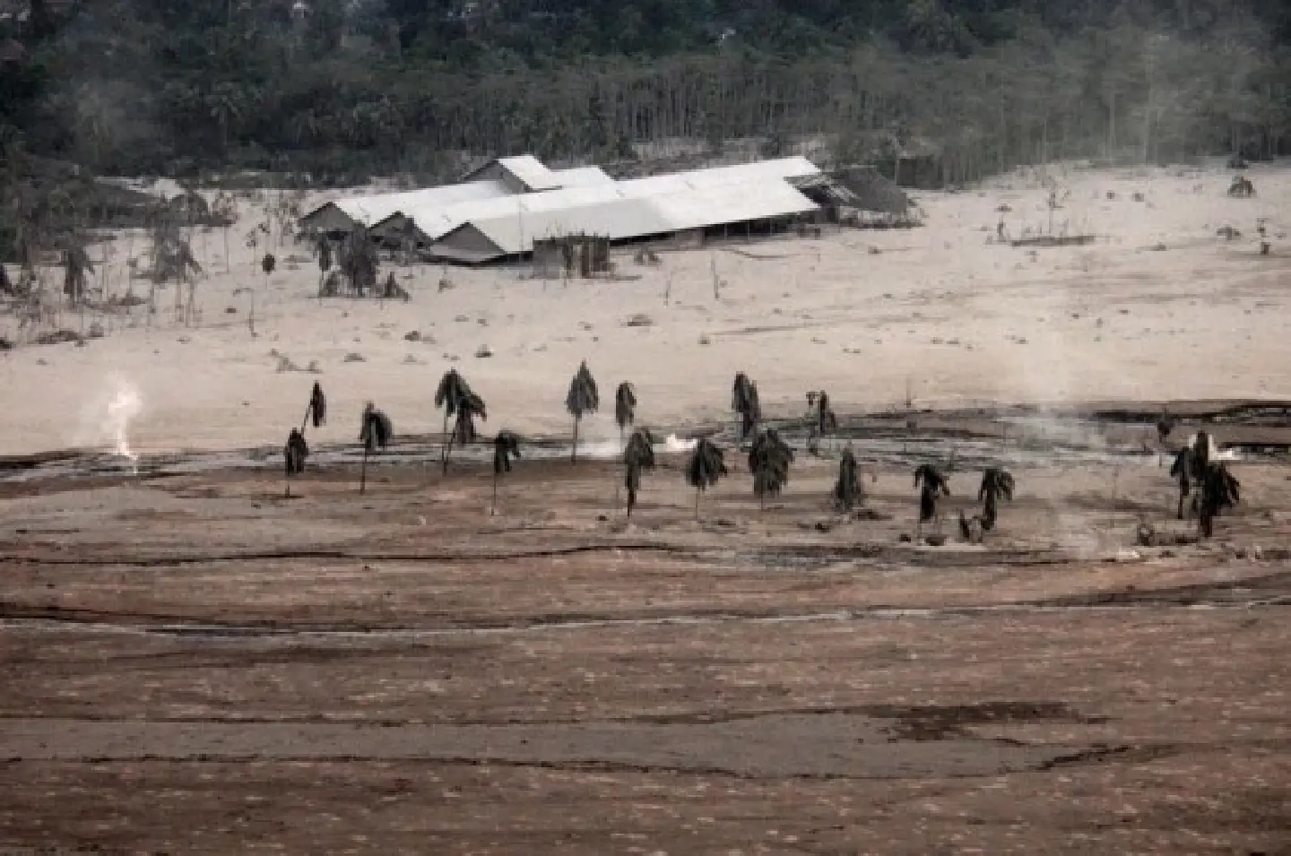 13 died, 98 injured in Indonesias Mt. Semeru eruption