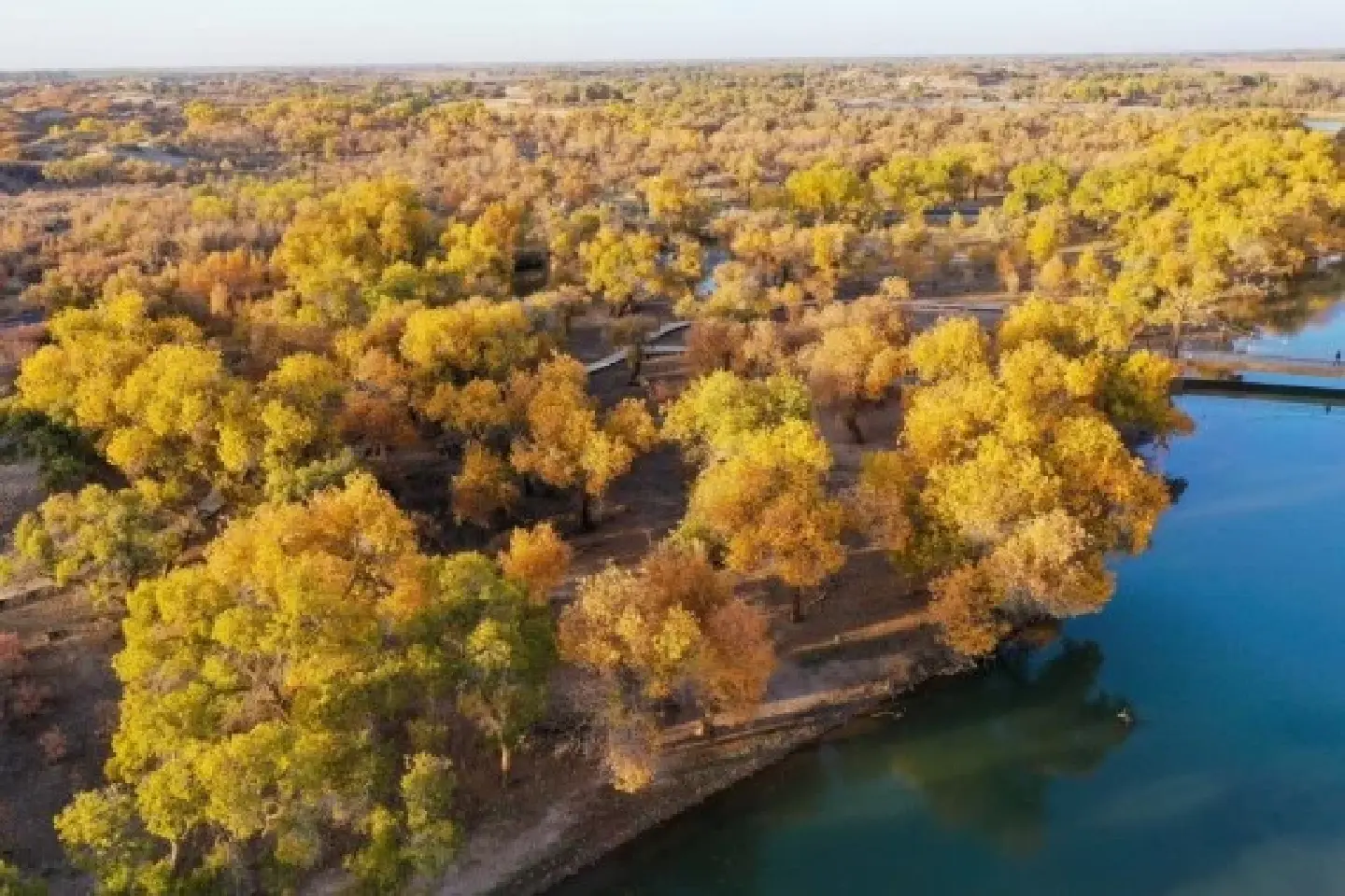 China's desert-fighting Inner Mongolia fuels green drive